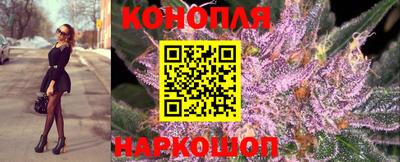 гашик Кулебаки